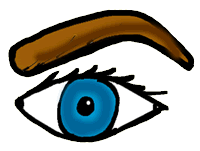 Eye with Eyebrow