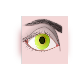 Female Eye And Eyebrow Clip Art