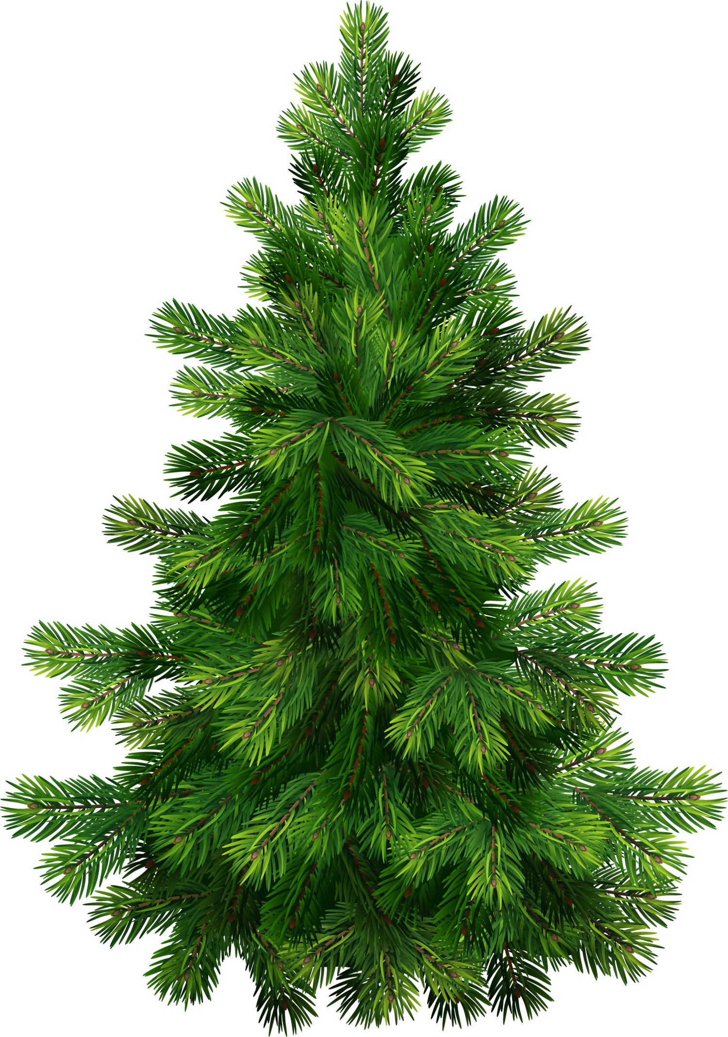 Pine Tree Evergreen Clip art - christmas tree png download - 3401*5054