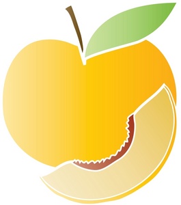 Peach clip art free vector 4vector image