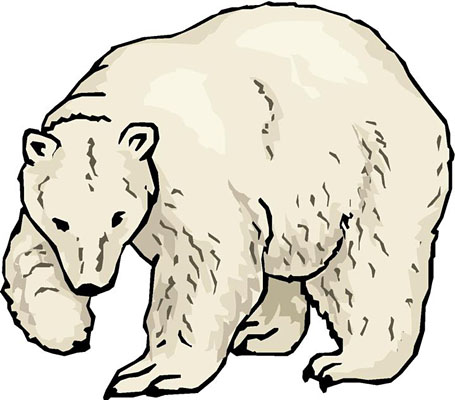 Free bear polar bear clipart the cliparts