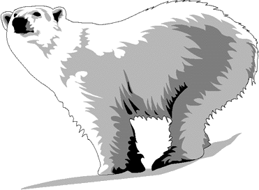 Polar bear walking clip art at vector clip art image