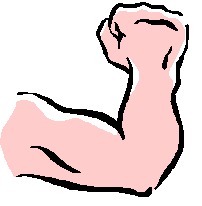 Body Muscle Arm Clipart