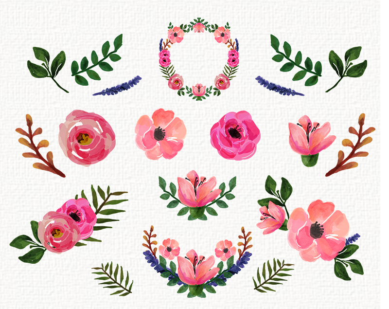 Freebies watercolor floral clip art collection roses and image 