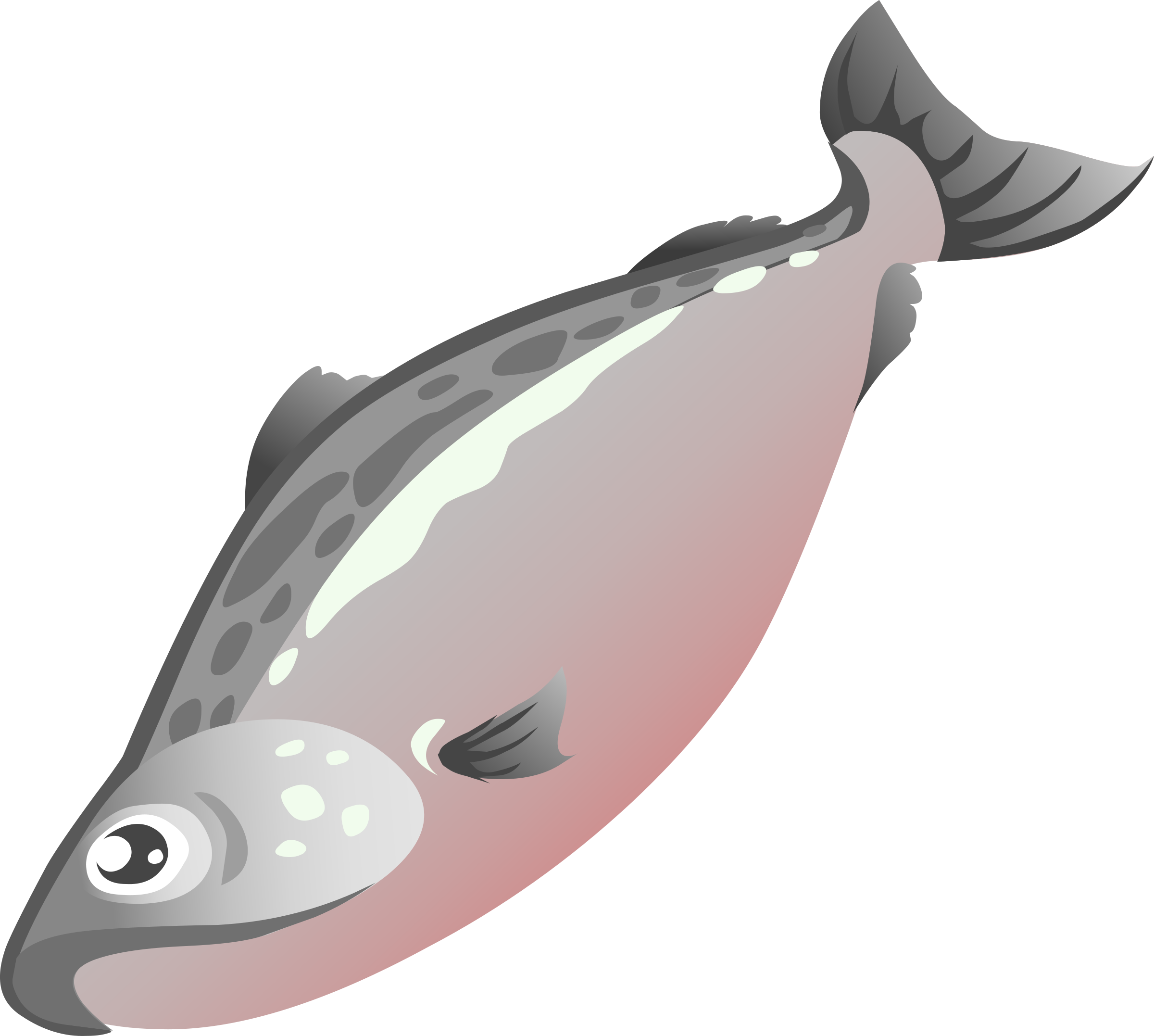 salmon clipart png - Clip Art Library