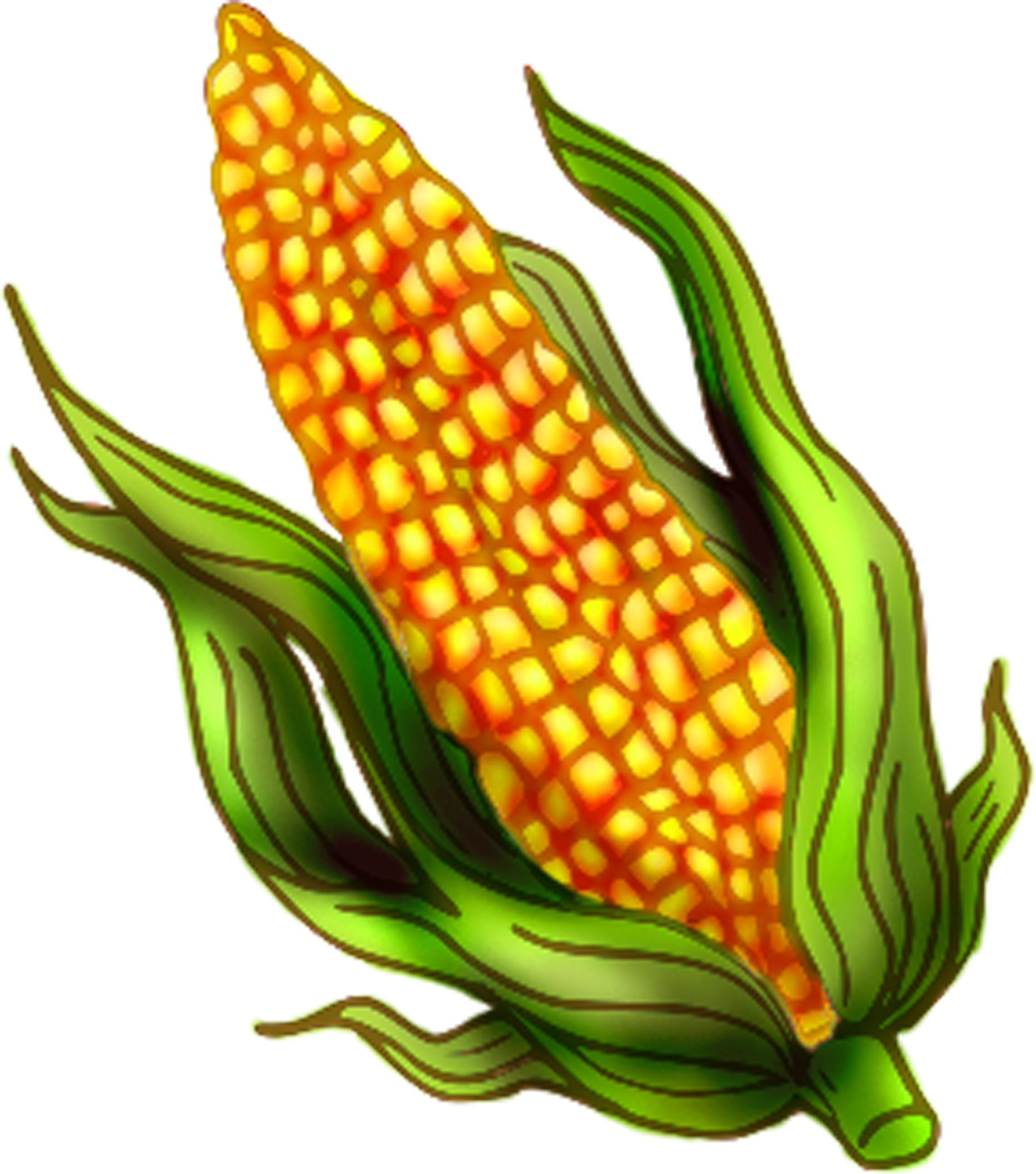 free clipart ear of corn - photo #36