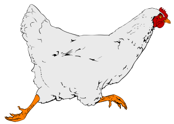 Hen download chicken cartoon clip art vector free clipart image