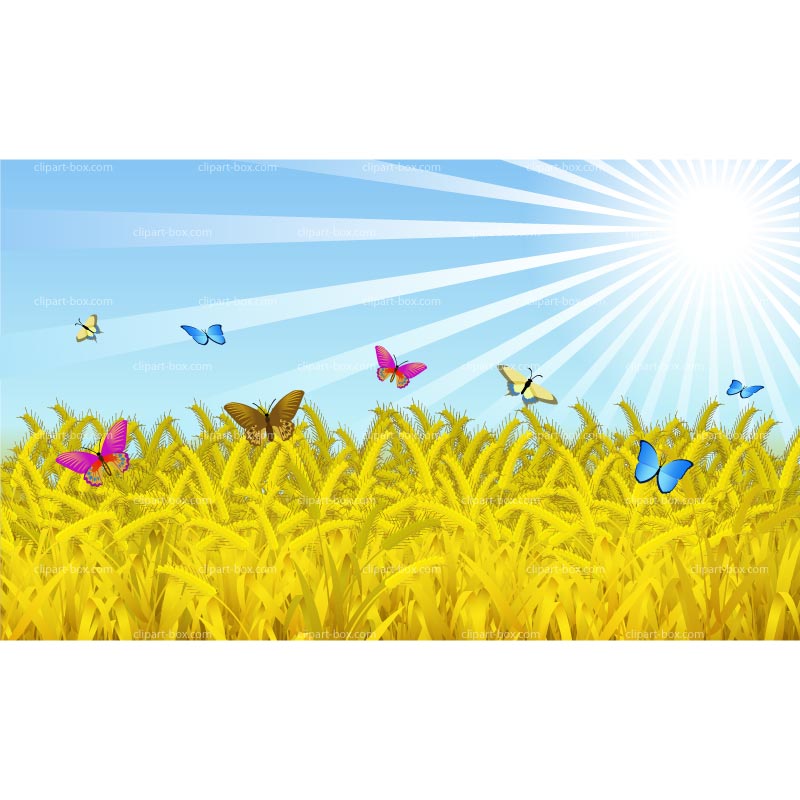 CLIPART WHEAT FIELD WITH BUTTERFLIES