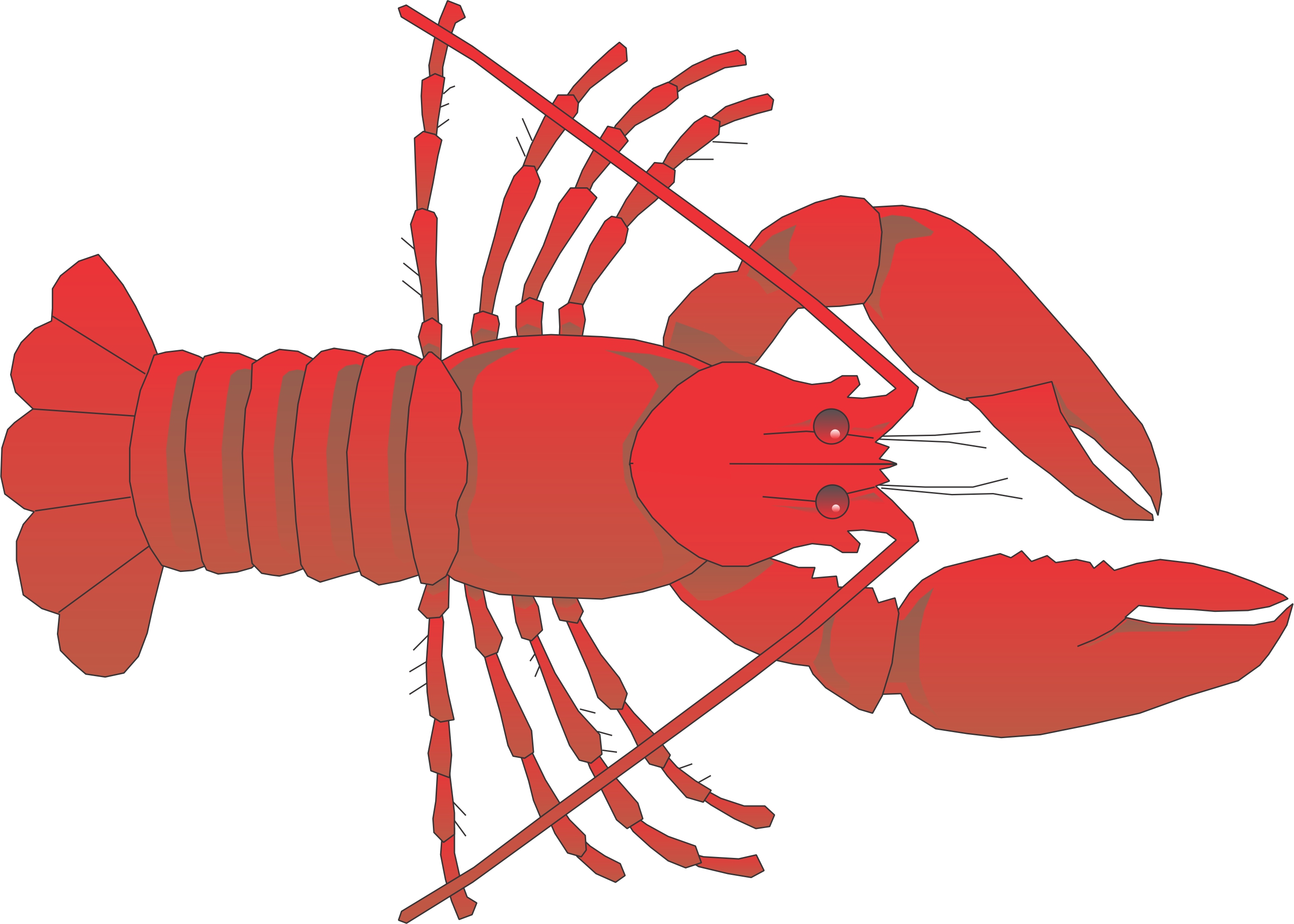 free cartoon lobster clip art - photo #29