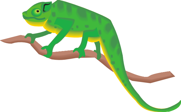Chameleon On A Branch Clip Art