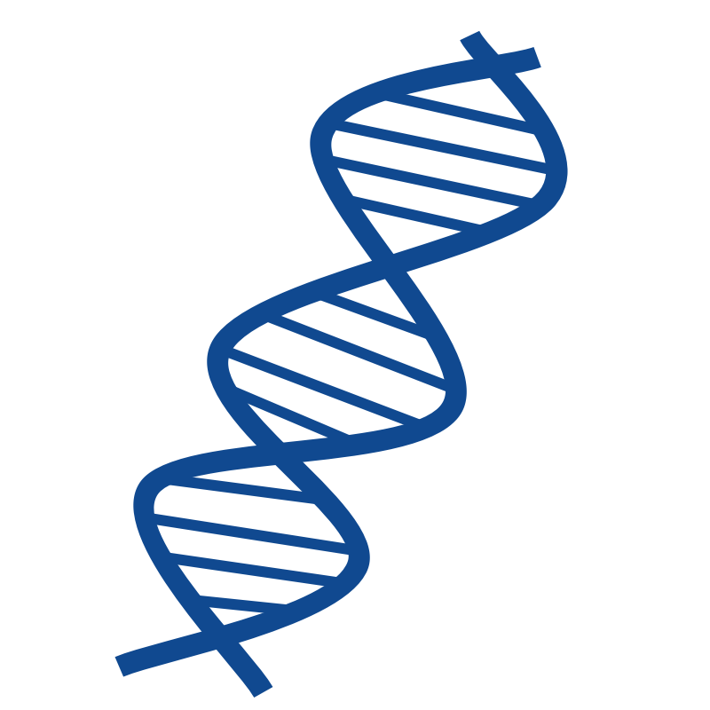 dna clipart animations