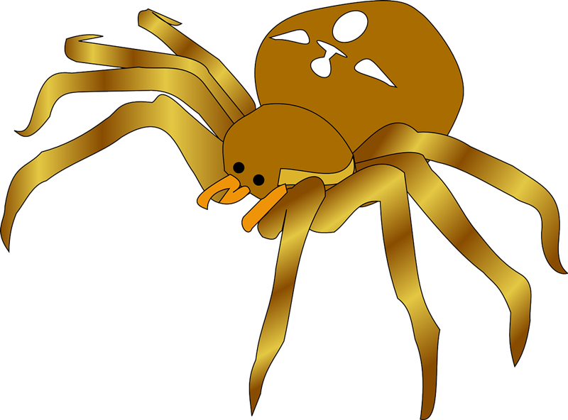 Clipart spider clipart image
