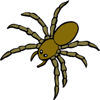 Itsy bitsy spider clipart free clipart image 2