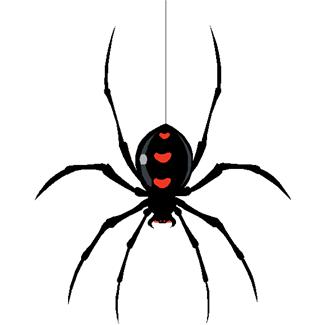 Happy spider clipart free clipart image