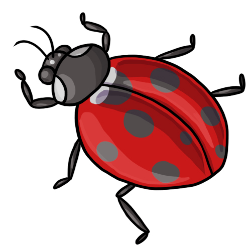 clip art of a ladybug - photo #16