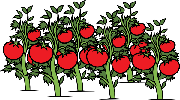 Tomato Garden Clipart