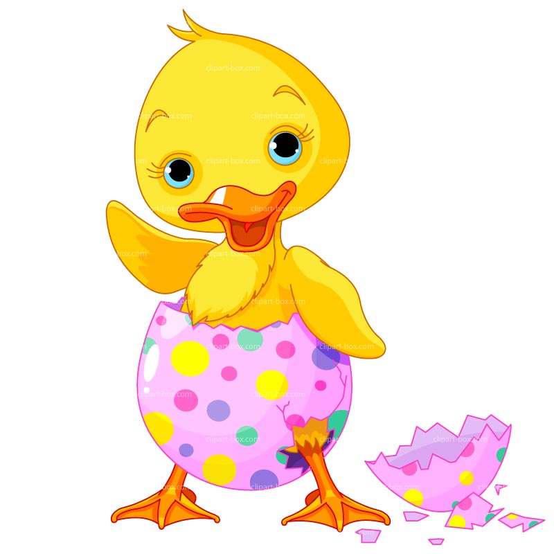 Easter Duckling Clipart Clip Art Library