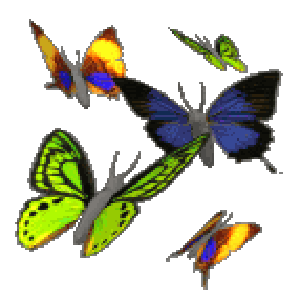 moving animated butterfly gif - Clip Art Library