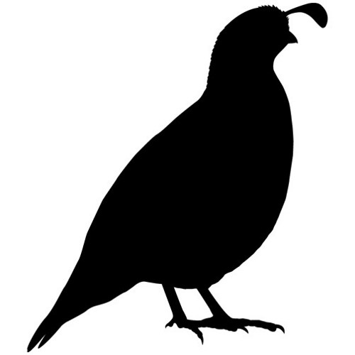 quail silhouette clip art