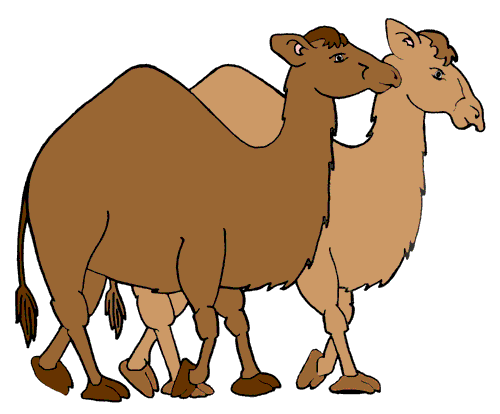 Camel clip art clipart image 
