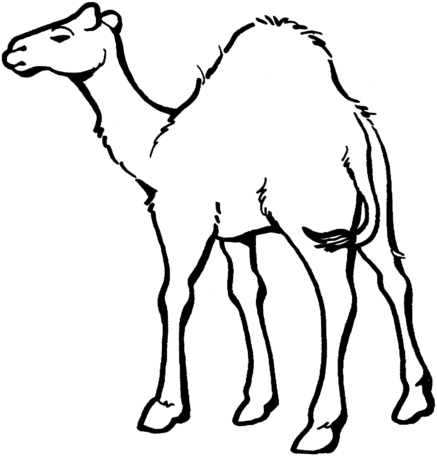Camel Clipart Black And White 