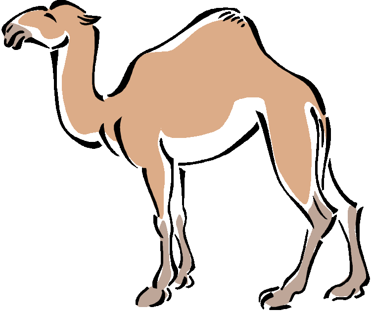 Camel clip art vector camel graphics image 