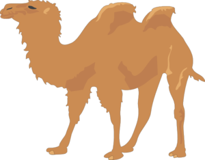 Camel Clip Art 