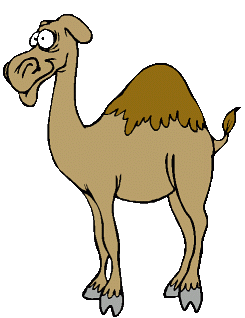 Moving Camel Clipart 