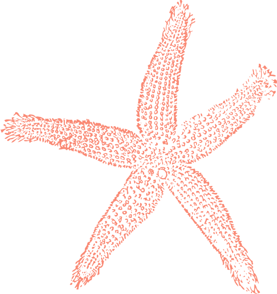 Single Starfish Coral Clip Art