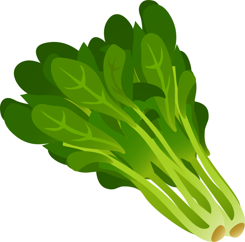 clipart green leafy vegetables - photo #7