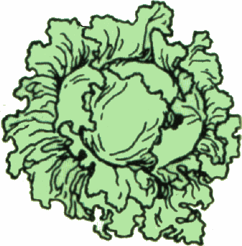 Free Spinach Cliparts, Download Free Clip Art, Free Clip ...