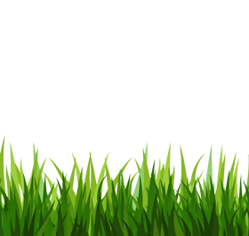 Grass image download free grass transparent backgound clipart 