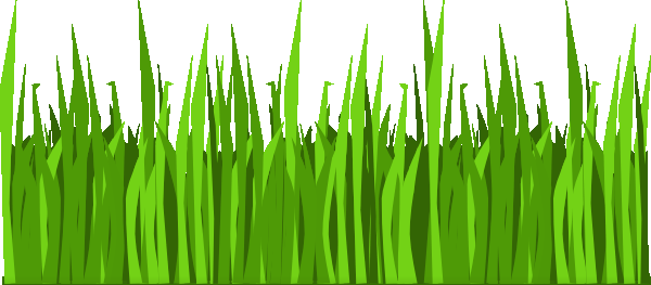 Cartoon Grass 