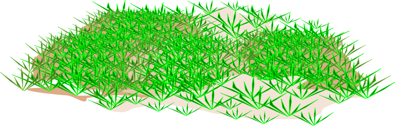 Grass clip art clipart cliparts for you 