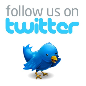 Follow Us On Twitter Bird