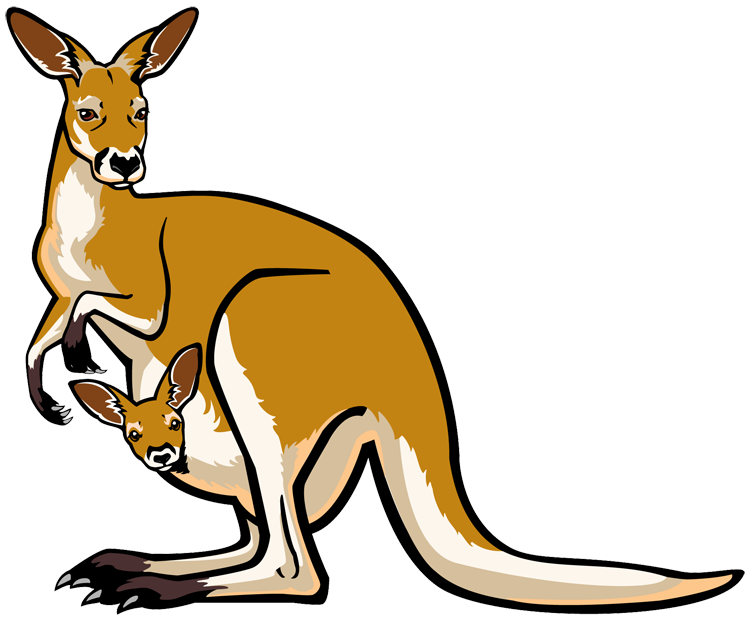 Clip Art Kangaroo