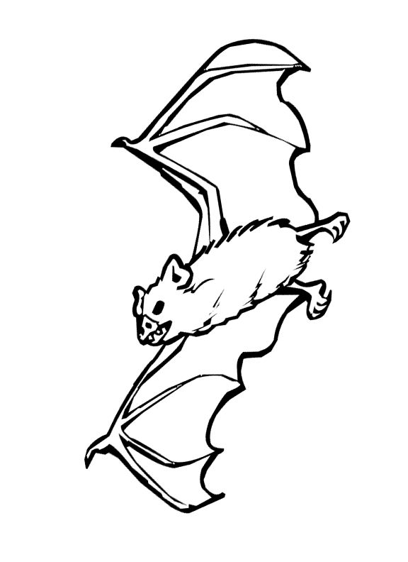 free clipart halloween bats - photo #49