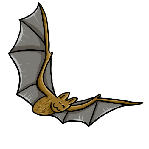 Free bats clipart free clipart image graphics animated s image
