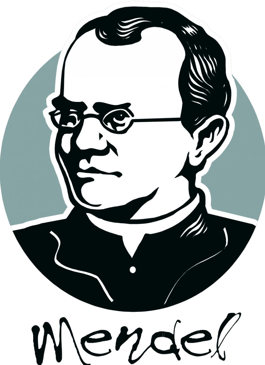 Free Mendel Cliparts, Download Free Mendel Cliparts png images, Free
