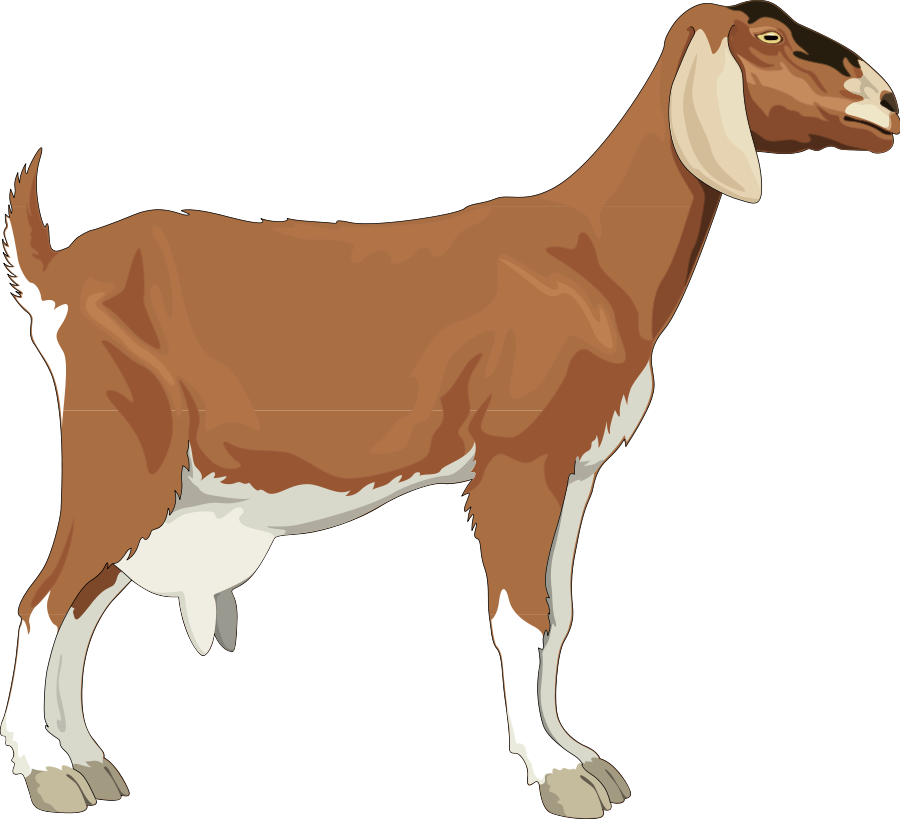 clip art goat cheese