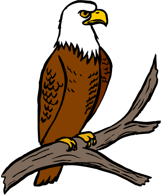eagle bird clip art - photo #12