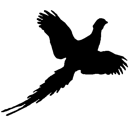 Pheasant Clip Art 