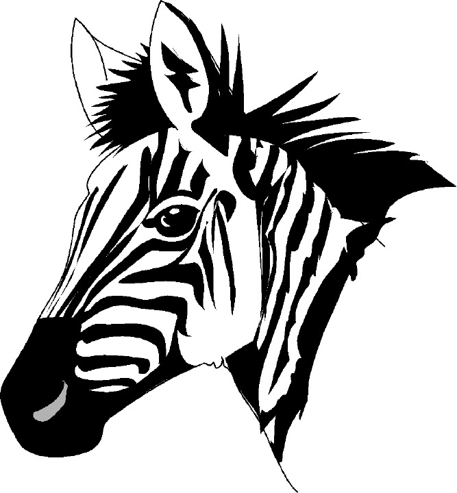 Zebra clipart Zebra animals clip art