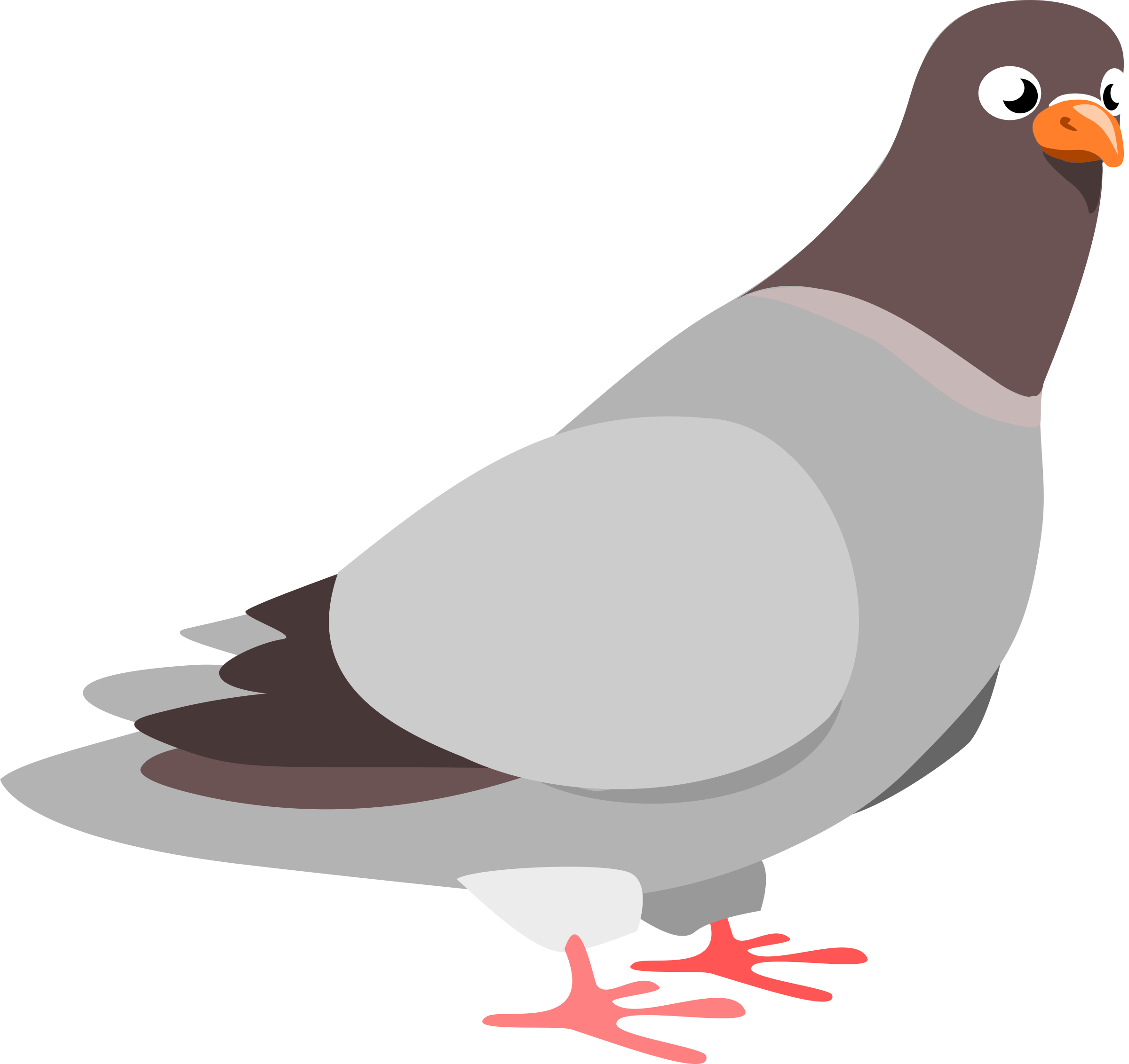 Pigeon cliparts