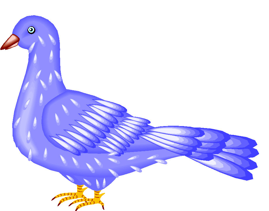 Pigeon clipart Pigeon Clip Art animal photo and
