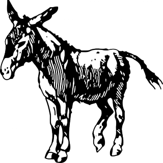 Print Your Free Donkey Animal Clip Art Below
