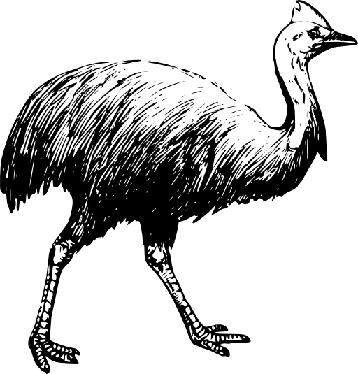 Cassowary Clipart