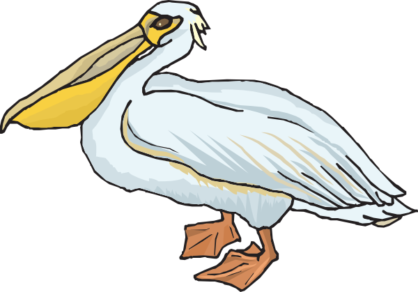 Standing Pelican Clip Art 