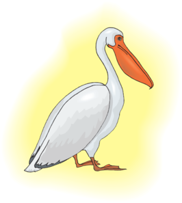 Pelican With Yellow Background Clip Art 