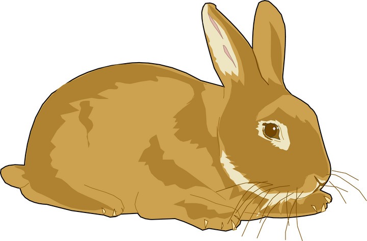 Rabbit clipart clipart cliparts for you 3